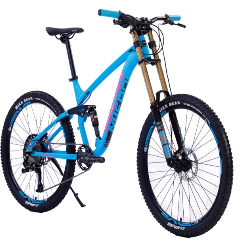 High Quality 24-Inch Dual Disc - Mountain Biking Gear ulasan dan harga